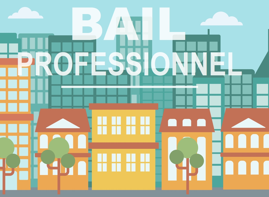 Bail professionnel